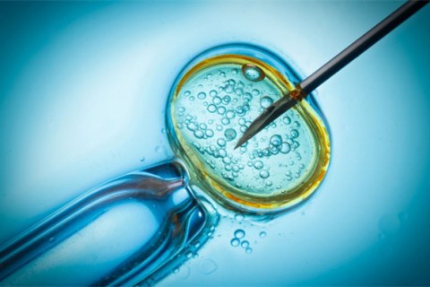 http://nanchang.qqkaixin.com/post/199.html|南昌供卵助孕